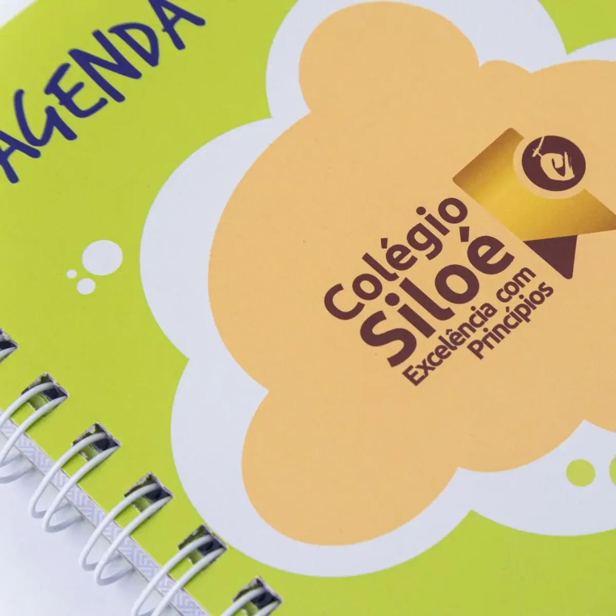 Agendas Diárias Personalizadas, foto 16 de 26