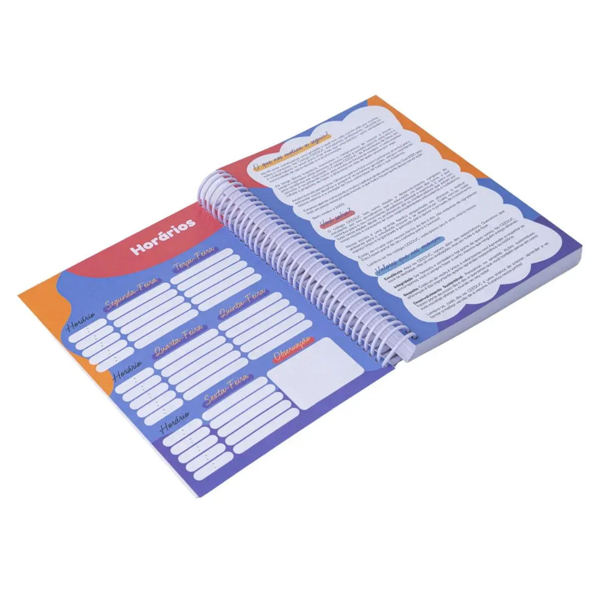Agendas Diárias Personalizadas, foto 20 de 26