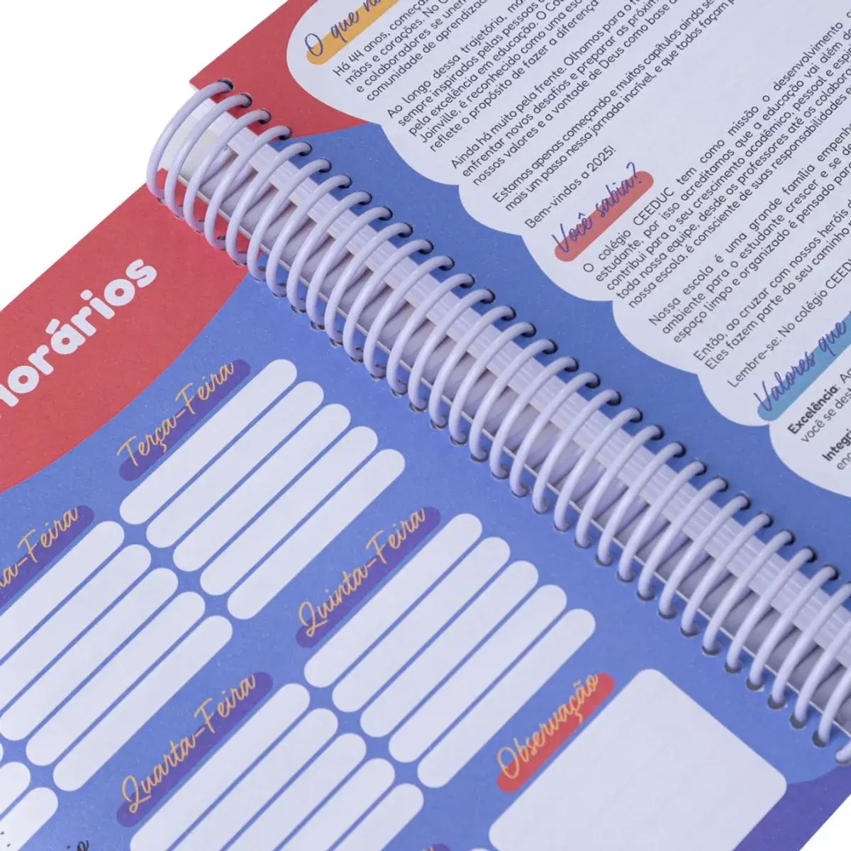 Agendas Diárias Personalizadas, foto 21 de 26