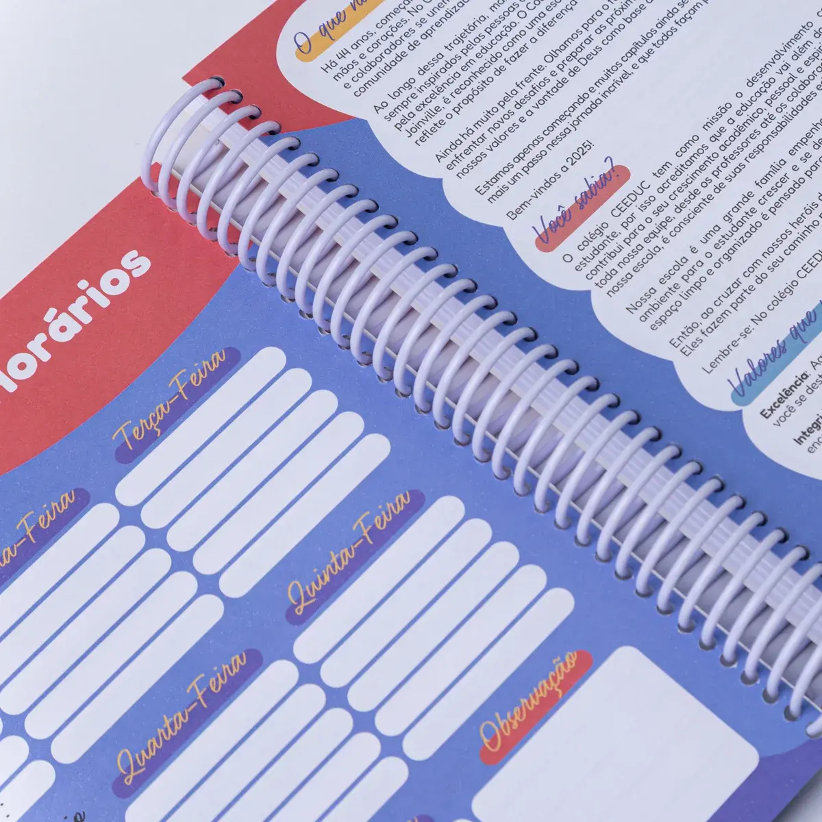 Agendas Diárias Personalizadas, foto 24 de 26